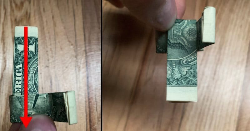 dollar-bill-origami-ring-easy-10-steps-the-daily-dabble