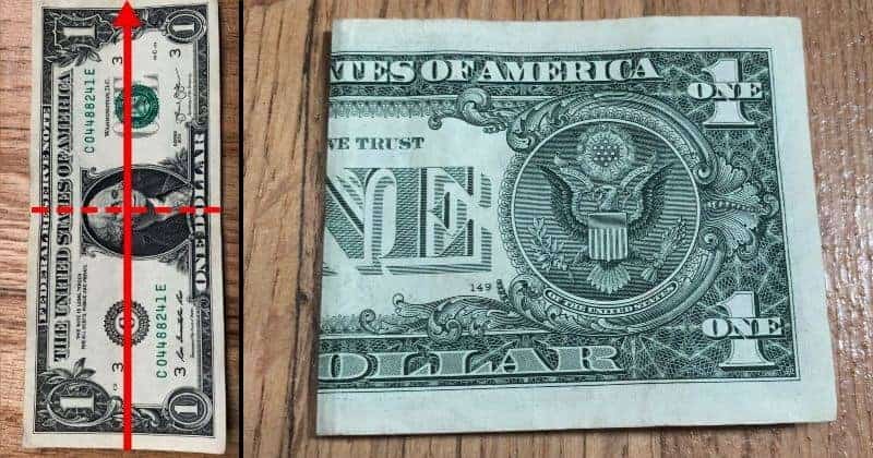 origami frog dollar bill