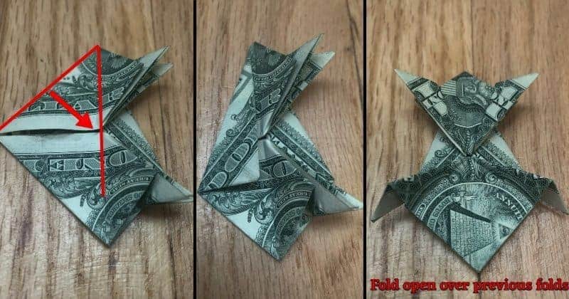 Dollar Bill Origami Frog Step 12