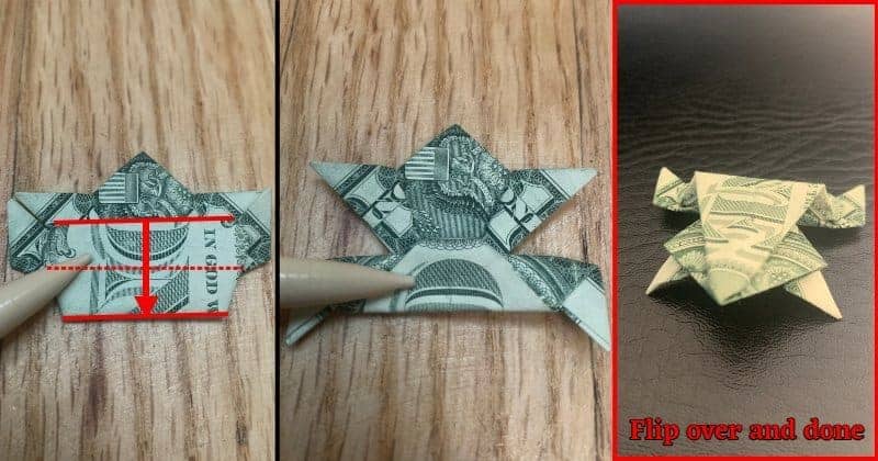 Dollar Bill Origami Frog Step 14