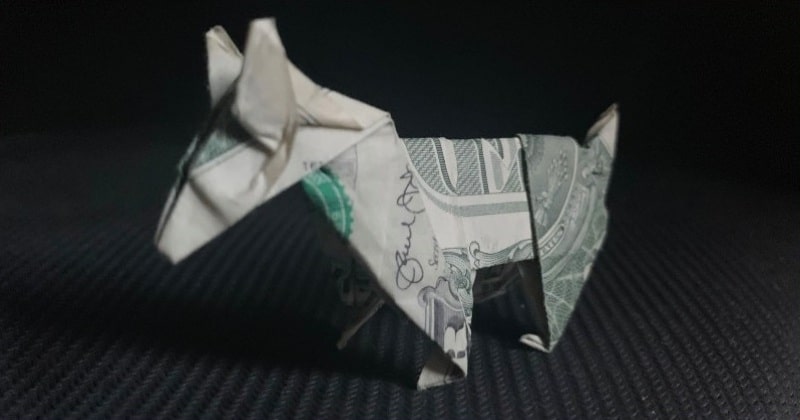 Dollar Bill Money Origami Dog