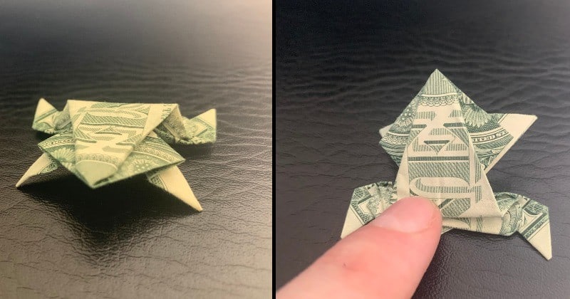Dollar Bill Money Origami Frog