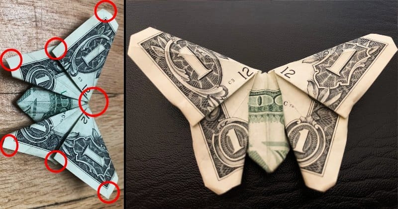 Dollar Bill Origami Butterfly 12