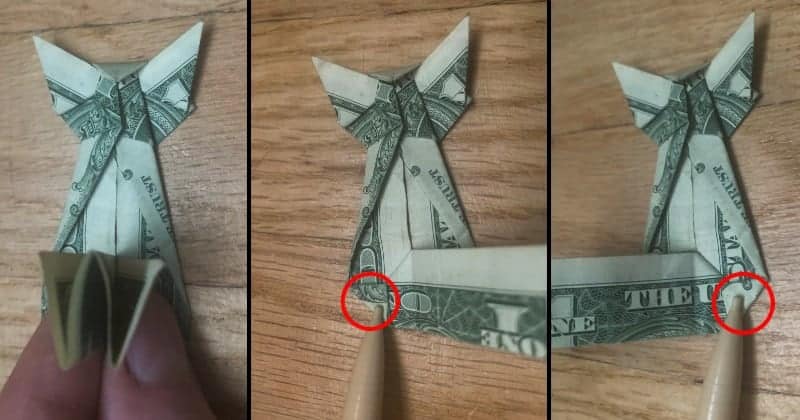 Dollar Bill Origami Cat Step 11