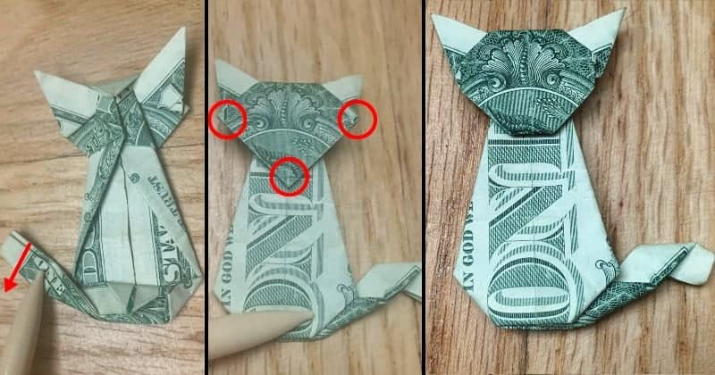 Dollar Bill Origami Cat Step 12b
