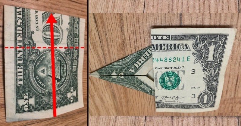 dollar bill origami tree 5