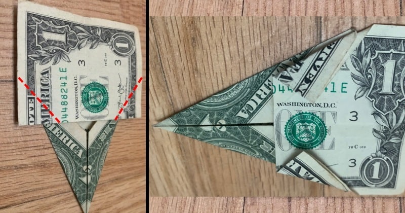 dollar bill origami tree 6