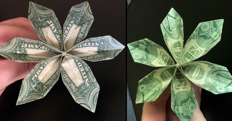dollar bill money origami flower