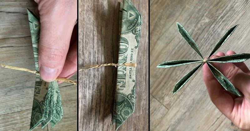 dollar bill origami flower 7