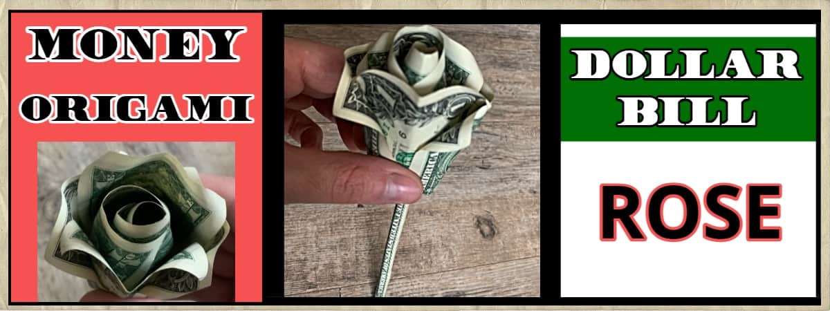 dollar bill origami rose