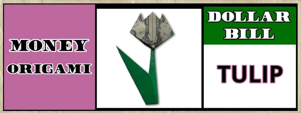 dollar bill origami tulip