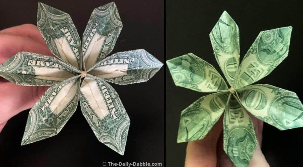 modular money flower