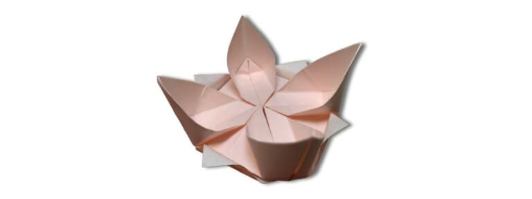 origami lotus flower