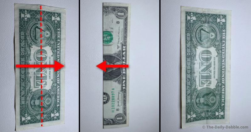 fold dollar in half lengthwise step 1