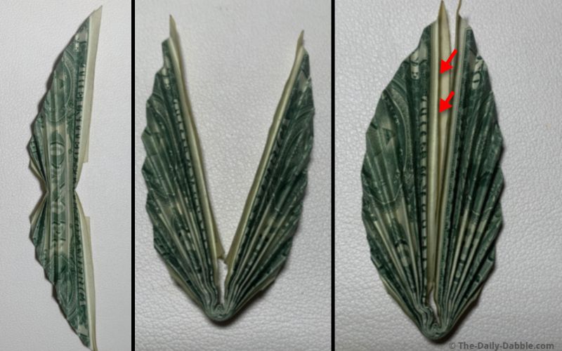 dollar bill origami leaf step 9