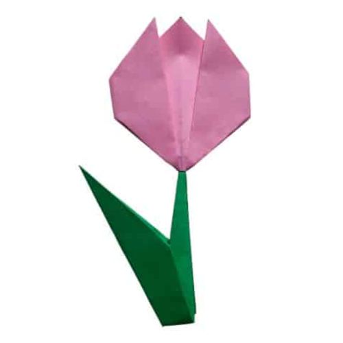origami tulip design